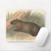Richard Lydekker - Tasmanian Wombat Muismat (Met muis)