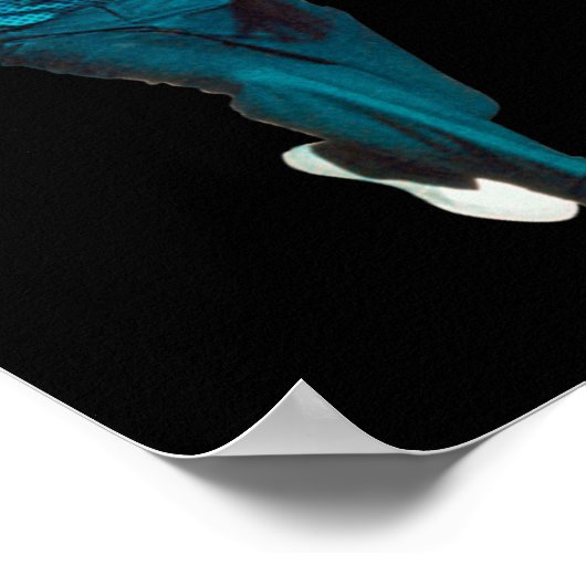 Richard Nixon Bowling  Poster (Hoek)