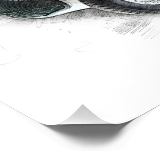 Richard Seaman Perfect Poster (Hoek)