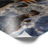 Richardson Ground Squirrel Foto Afdruk (Hoek)