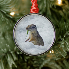 Richardson Ground Squirrel Metalen Ornament