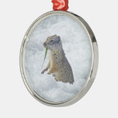 Richardson Ground Squirrel Metalen Ornament (Links)