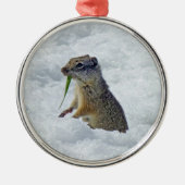 Richardson Ground Squirrel Metalen Ornament (Voorkant)