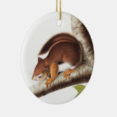 Richardson's Columbian Squirrel Illustratie Keramisch Ornament (Rechts)