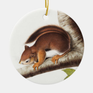Richardson's Columbian Squirrel Illustratie Keramisch Ornament