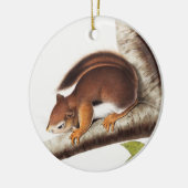 Richardson's Columbian Squirrel Illustratie Keramisch Ornament (Links)