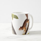 Richardson's Columbian Squirrel Illustratie Koffiemok (Voorkant rechts)