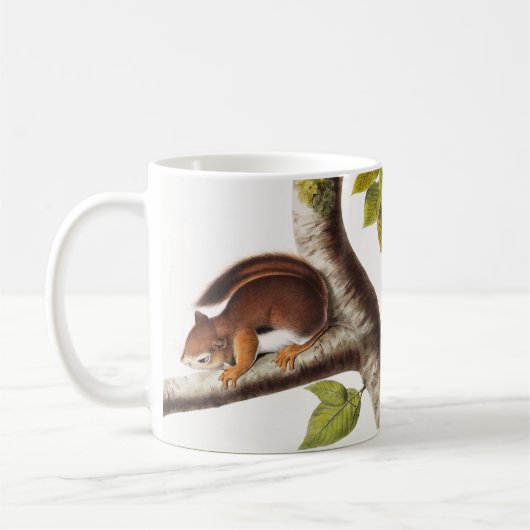 Richardson's Columbian Squirrel Illustratie Koffiemok (Links)