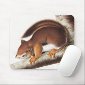 Richardson's Columbian Squirrel Illustratie Muismat (Met muis)