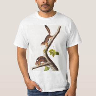 Richardson's Columbian Squirrel Illustratie T-shirt