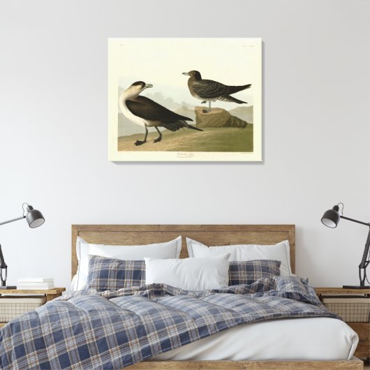 Richardson's jager van de Amerikaanse vogels van A Canvas Afdruk (Insitu (Slaapkamer))