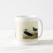 Richardson's jager van de Amerikaanse vogels van A Koffiemok (Voorkant rechts)
