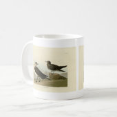 Richardson's jager van de Amerikaanse vogels van A Koffiemok (Voorkant links)