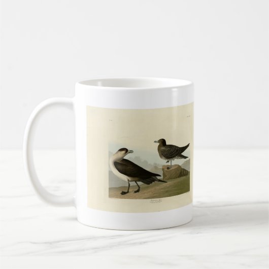 Richardson's jager van de Amerikaanse vogels van A Koffiemok (Links)