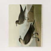 Richardson's jager van de Amerikaanse vogels van A Legpuzzel (Verticaal)