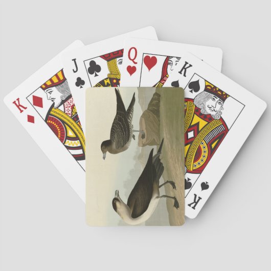 Richardson's jager van de Amerikaanse vogels van A Pokerkaarten (Achterkant)