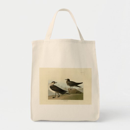 Richardson's jager van de Amerikaanse vogels van A Tote Bag (Voorkant)