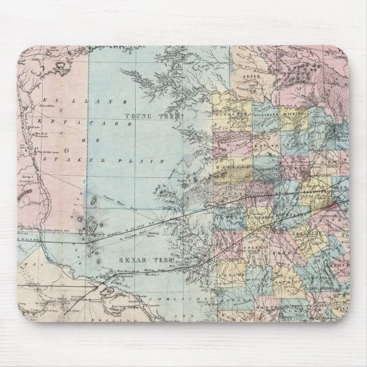 Richardson's nieuwe kaart van de staat Texas Muismat (Voorkant)