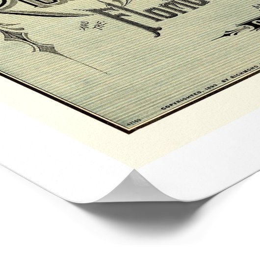 Richmond & Danville Railroad Map 1893 Poster (Hoek)