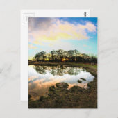 Richmond Park, Londen Briefkaart (Voorkant / Achterkant)