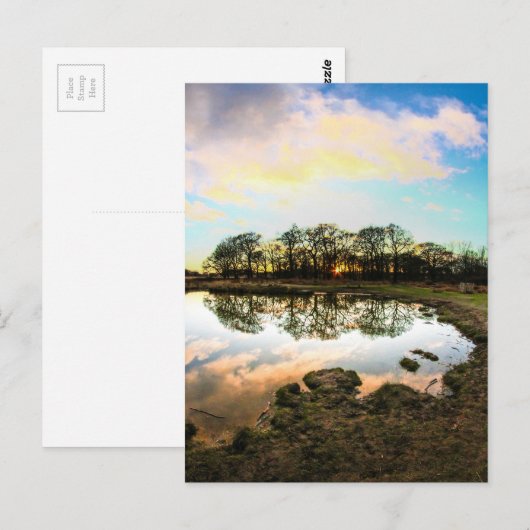 Richmond Park, Londen Briefkaart (Voorkant / Achterkant)