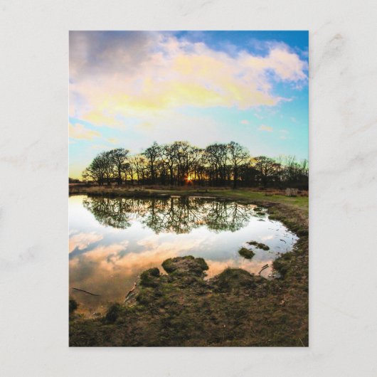 Richmond Park, Londen Briefkaart (Voorkant)