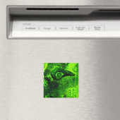 richting groen magneet (Insitu (Vaatwasser))