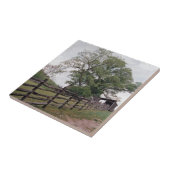 Richting Tegeltje (Zijkant)