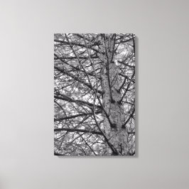 Richting van dennenbomen canvas afdruk