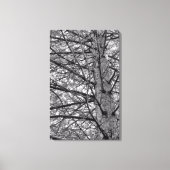 Richting van pijnbomen canvas afdruk (Voorkant)