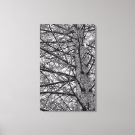 Richting van pijnbomen canvas afdruk