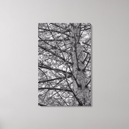 Richting van pijnbomen canvas afdruk (Voorkant)