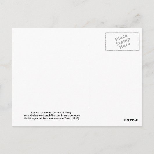 Ricinus communis (Plant van Ricinusolie) Briefkaart (Achterkant)