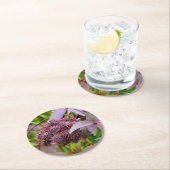 Ricinus communis ronde kartonnen onderzetter (Insitu)