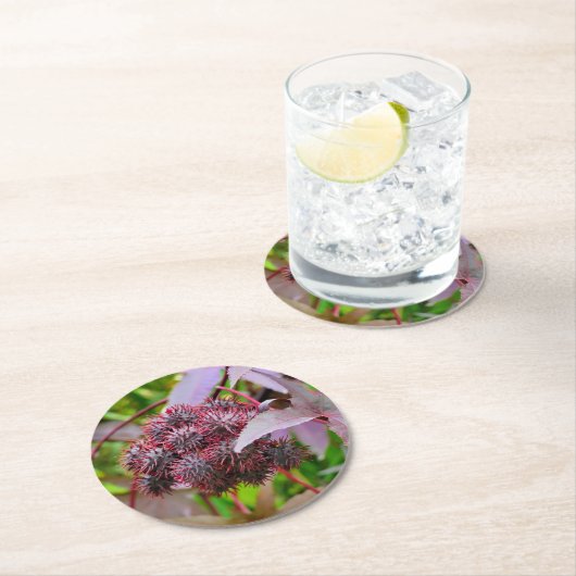 Ricinus communis ronde kartonnen onderzetter (Insitu)