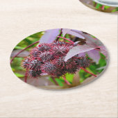 Ricinus communis ronde kartonnen onderzetter (Gebogen)