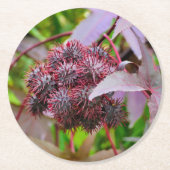 Ricinus communis ronde kartonnen onderzetter (Voorkant)