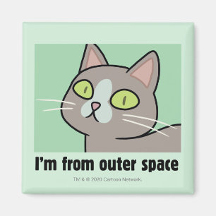 RICK EN MORTY™   Ik kom uit de buitenruimte Magneet