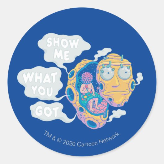 RICK EN MORTY™ | SHOW ME WAT JE HEBT RONDE STICKER (Voorkant)