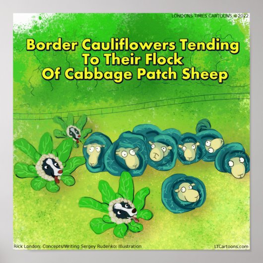 Rick London Funny Border Collie Flower Comic Poster (Voorkant)