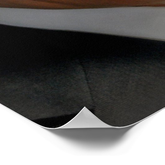 Rick Perry Poster (Hoek)