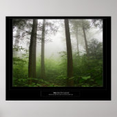 Ricketts Glen Poster (Voorkant)
