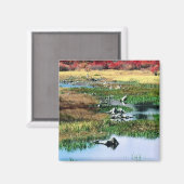 Ricketts Glen State Park Magneet (Voorkant / Achterkant)