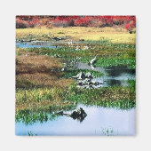 Ricketts Glen State Park Magneet (Voorkant)