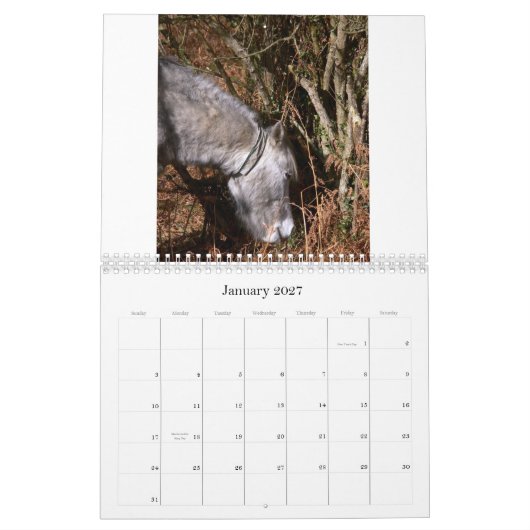 Ricks 2008 Random Pics C... Kalender (Jan 2027)