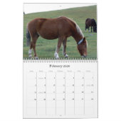 Ricks 2008 Random Pics C... Kalender (Feb 2026)