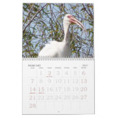 Rick's Wilde Bird Calendar 2007 Kalender (Feb 2027)