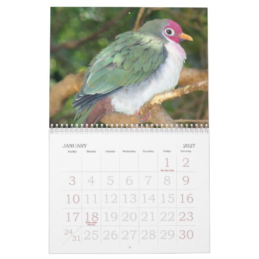 Rick's Wilde Bird Calendar 2007 Kalender (Jan 2027)