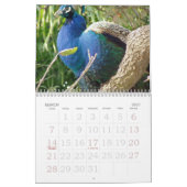 Rick's Wilde Bird Calendar 2007 Kalender (Mar 2027)