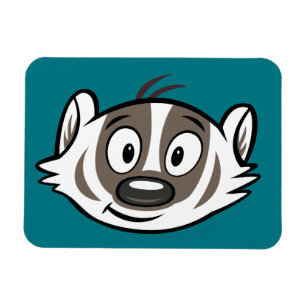 Ricky Raccoon Boomer Badger Face Magneet